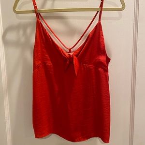 Red tank top for impeccable pig